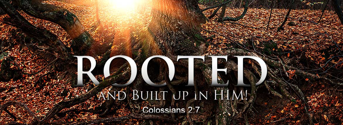 Rooted and Built Up In Him! - Colossians 2:7